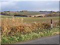 TM0245 : Country south of Whatfield, looking east by Andrew Hill