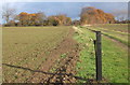 Tap in field near Aldham Priory