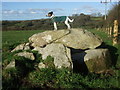 Parc-y-Llyn burial chamber