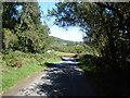 Lane at Hollybush Roughs