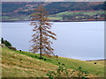 Ardindrean, Loch Broom