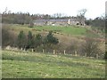 Pastures and woodland near Wooley High House