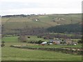 Nettle Hill Farm and pastures