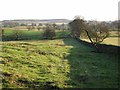 Looking south from Saugh House