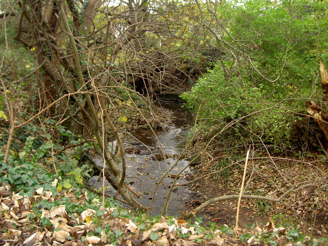 Arrowe Brook Near Greasby © David Quinn Cc By Sa20 Geograph