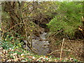 Arrowe Brook near Greasby.