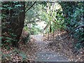 Branksome Dene Chine: the path from Sandbourne Road