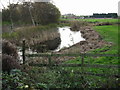 View S along stream from Dam Bridge