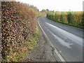 View E along Adisham Downs Road