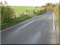 View W along Adisham Downs Road