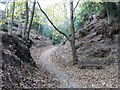 Canford Cliffs Chine: the path up