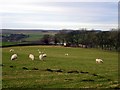 Another view of Viewley farm