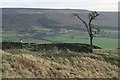 Gate and Wall Junction, Above Garfitts