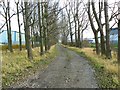 National cycle route 10, Avonmouth