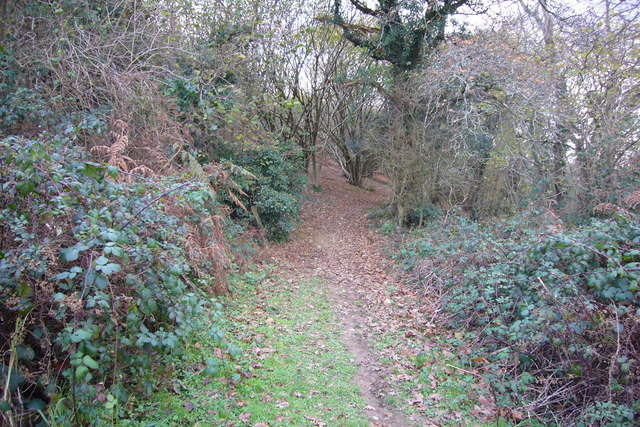 Eastern entrance to Chaddle Wood
