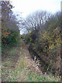 Drain to the North of Dam Road, Barton Upon Humber