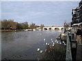 Kingston Bridge