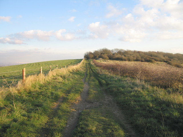 The Back of Lancing Ring