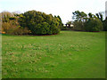 Modern House, Friston