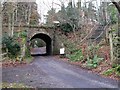 Bridge on the (former) Hexham to Allendale branch line at Langley