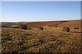 Bracken Bales (2)