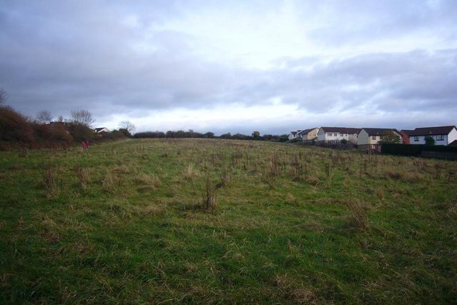 Field in Chaddlewood