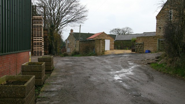Timber Lane