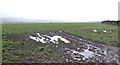 Muddy land north of Simonsbath