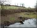 Nottingham Canal below Swancar farm