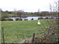 Ornamental pond near Hooke.