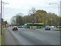 Balloon Wood cross roads