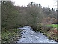 The River West Allen downstream of the bridge at Wide Eals