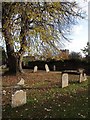 Paignton churchyard