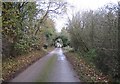 Hanging Wood: Lane to Standon