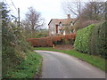 Lane to Gazeley at Upper Green, Higham