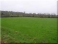 Drumconwell Townland