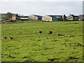 NY9969 : Pastures near Little Whittington by Mike Quinn