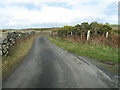 Lane near Llanfair