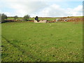 Ruined barn near Brwyn-llynau