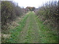 Latchford: Former Buntingford branch railway line