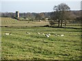 Pastures south of Great Whittington