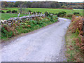 Road leading to Lochside and Loch of Park