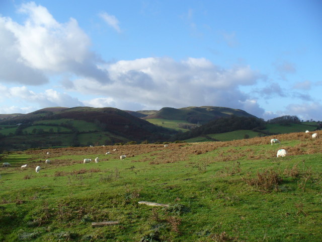 Perthi Common with the mass of Carneddau beyond