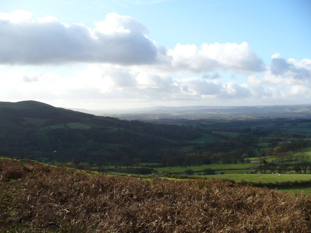 Hillside overlooking the Wye Valley