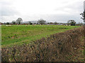 Grazing land between Newent and Upleadon