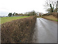 Road to Newent from Upleadon