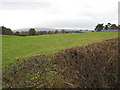 Grazing land between Newent and Upleadon