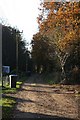 Track to Wiltonhill Wood