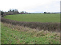 Grazing land at Highleadon