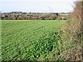 View across the fields from Hangman